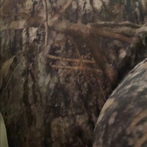 Meet your Posher, Jerry